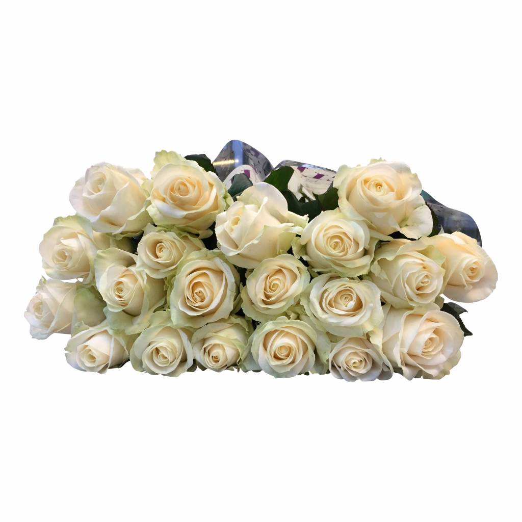 10 Premium-Rosen Four Seasons (Champagner)