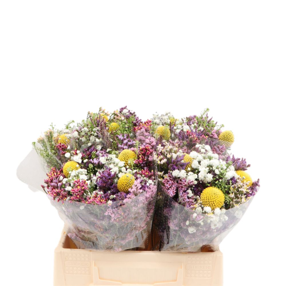 1 Mix Strauß 1 Mix Strauß