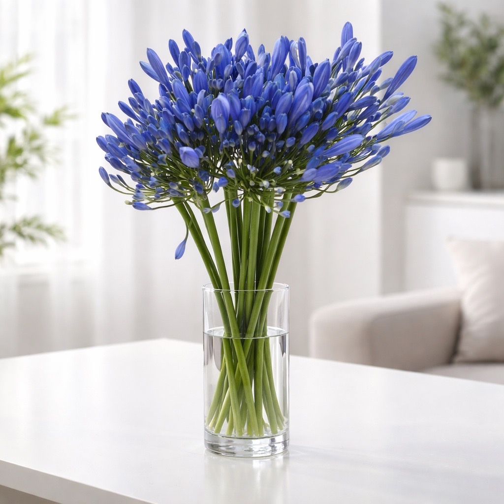 10 Stiele Agapanthus Blau