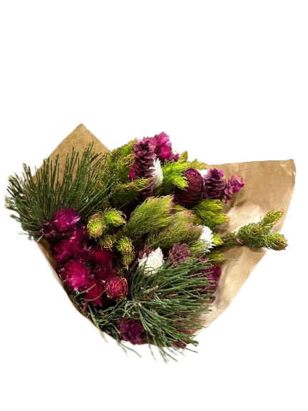 Blumenstrauß aus gemischten Kap-Grün