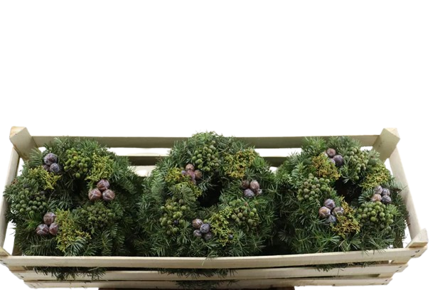 Adventskranz aus gemischtem Grün & Beeren – Ø ca. 25–30 cm | Natürlich & handgebunden