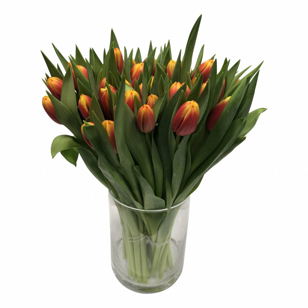 10 Tulpen Dow Jones