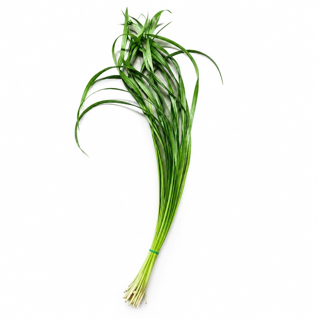 1 Bund Lilly Gras