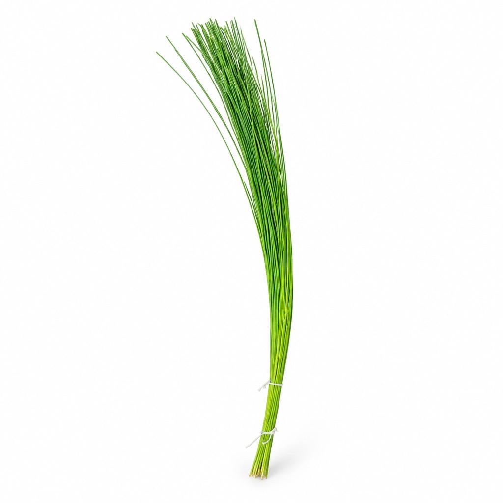 1 Bund Flexigras