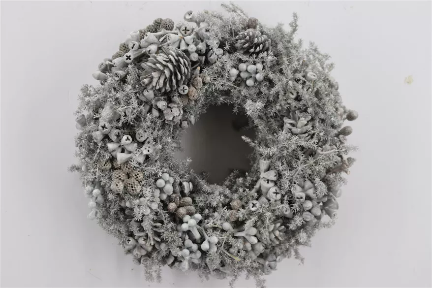 Dekokranz aus Asparagus mit Tannen Atzeln Dekokranz aus Asparagus mit Tannen Atzeln