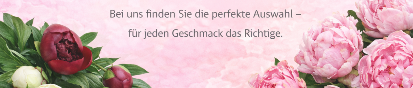 Pfingstrosen in großer Auswahl