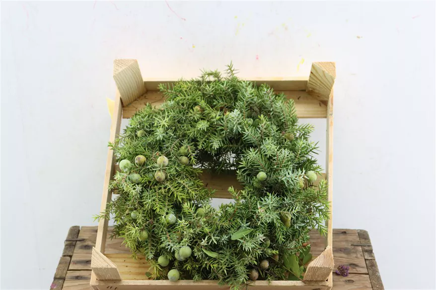 Wacholderkranz Wacholderkranz