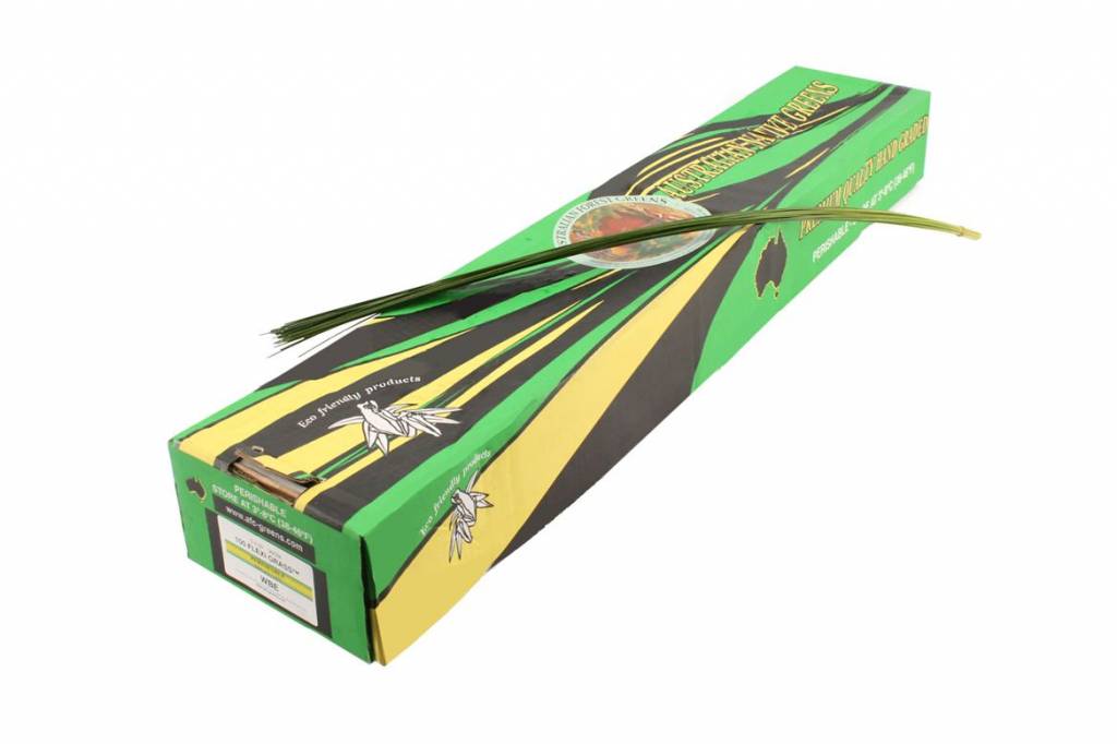 1 Bund Flexigras