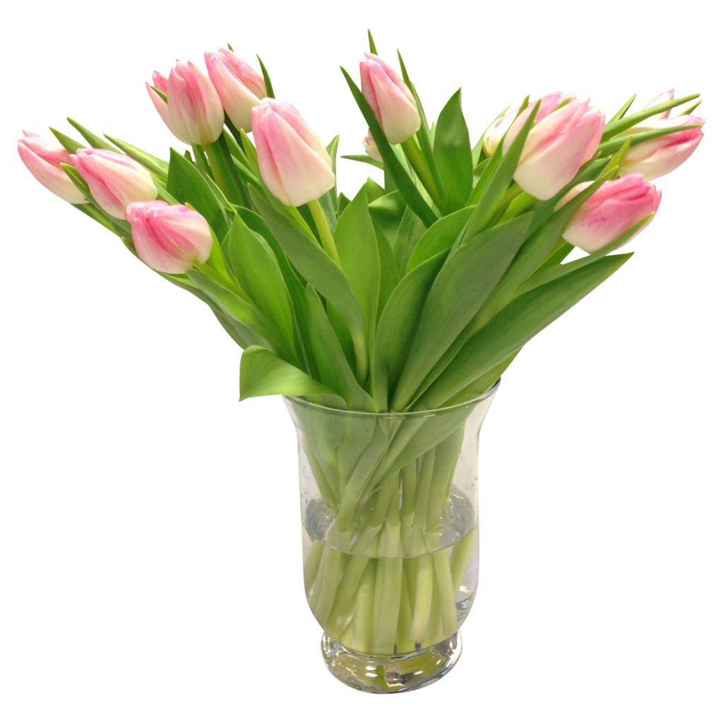 10 Tulpen First Class