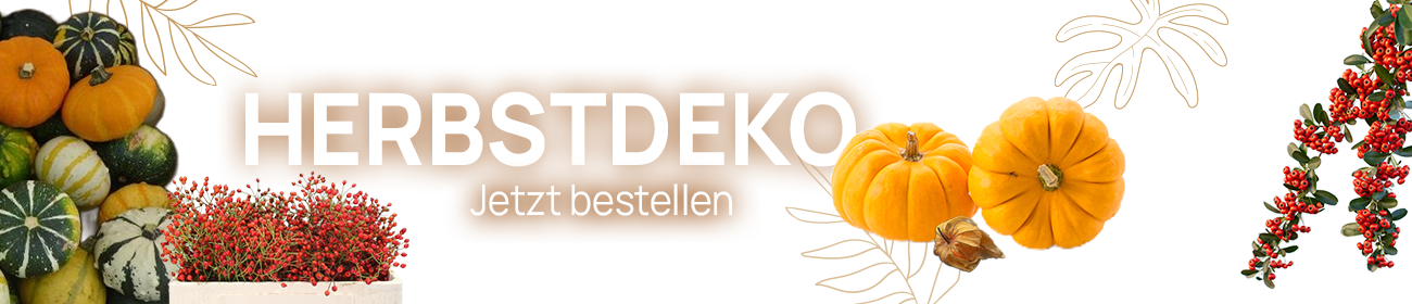Bringen Sie die warmen Farben des Herbstes in Ihre vier Wände!