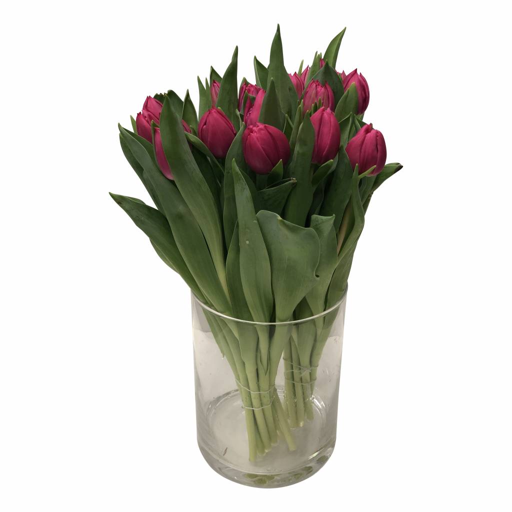 10 Tulpen Queen of Marve