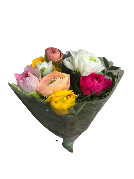 Blumenstrauß aus 5-7 farblich gemischten Ranunkeln Blumenstrauß aus 5-7 farblich gemischten Ranunkeln