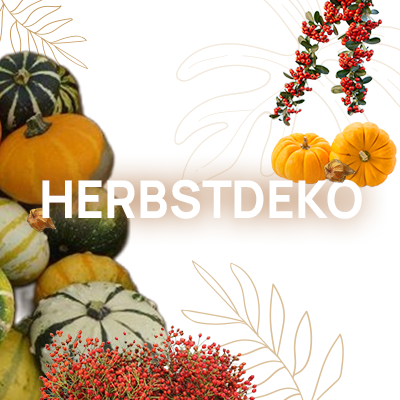 Bringen Sie die warmen Farben des Herbstes in Ihre vier Wände!