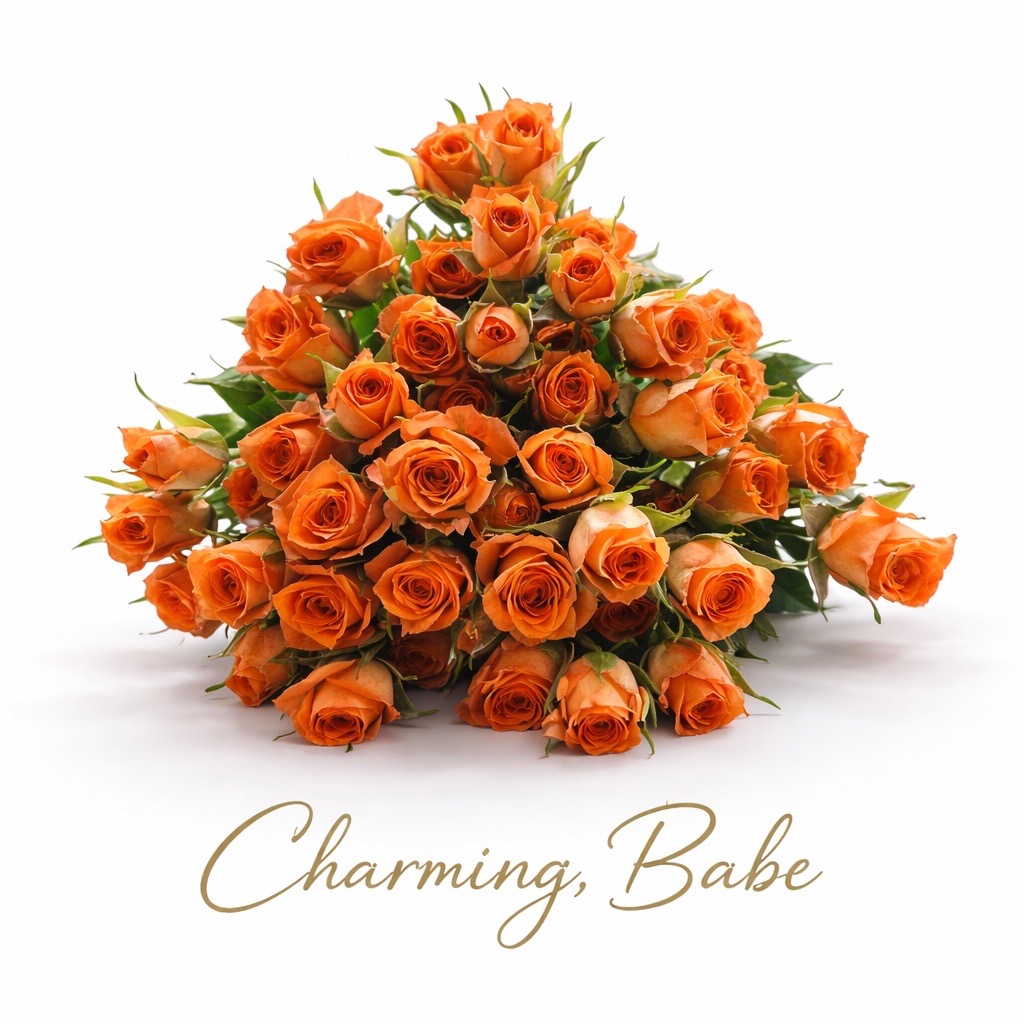 10 Tros-Rosen Charming Babe