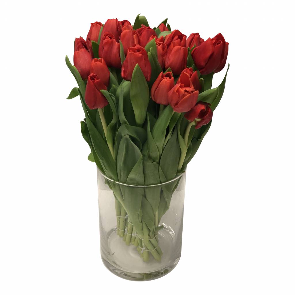 10 Tulpen Escape