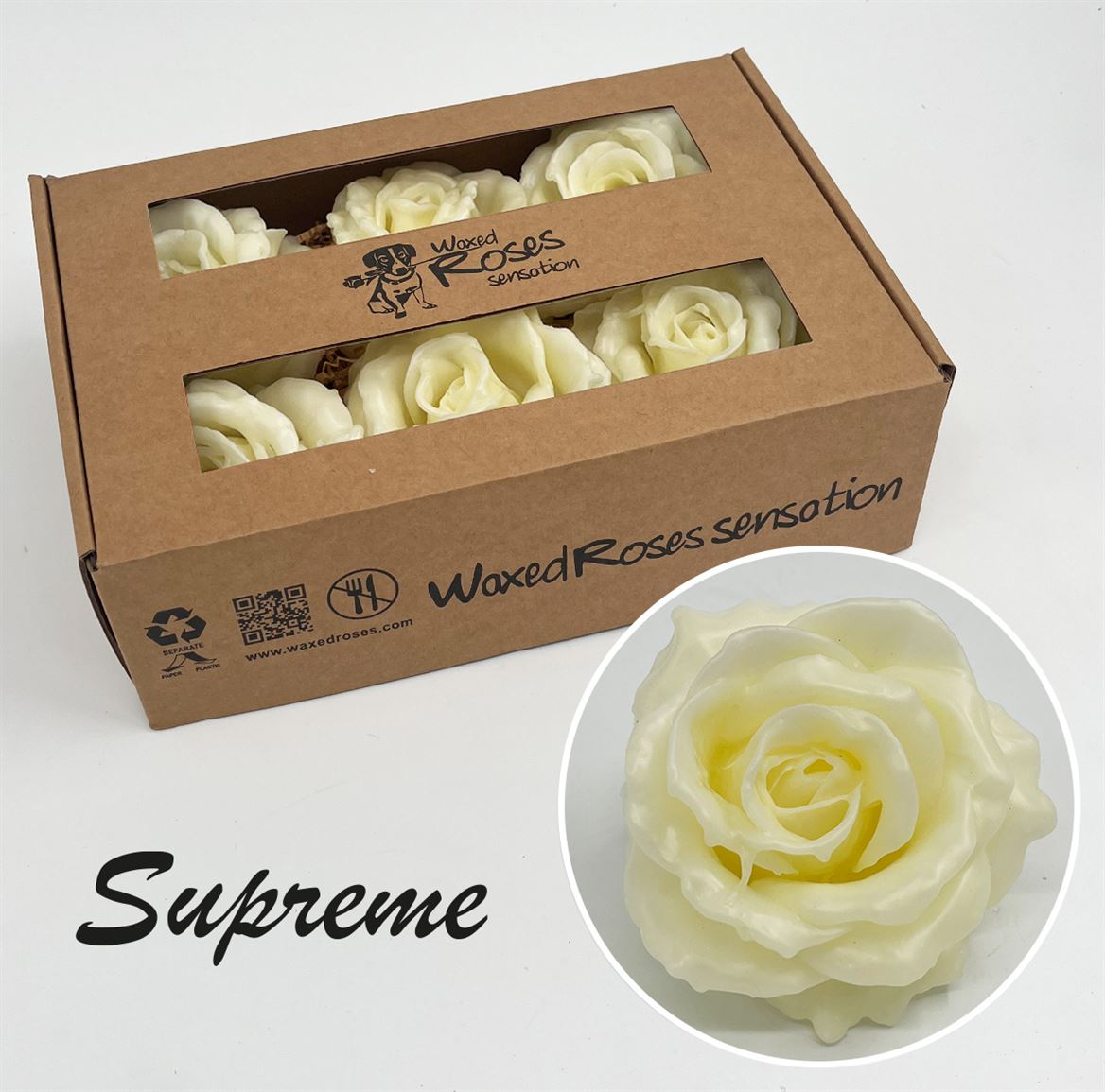 6 Wachsrosen Sensations im Karton Creme