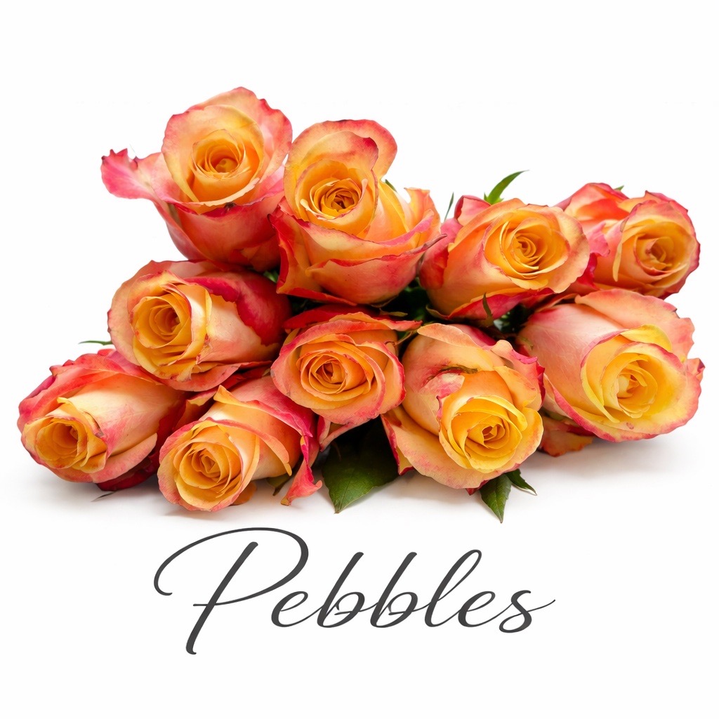 10 Premium Rosen Pebbles (Orange)