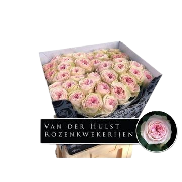 10 Rosen Ballerina Summerhouse