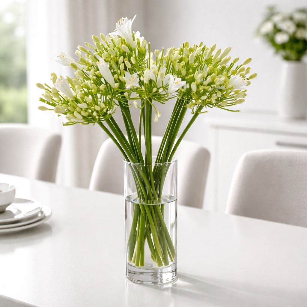 10 Stiele Agapanthus Gletsjer