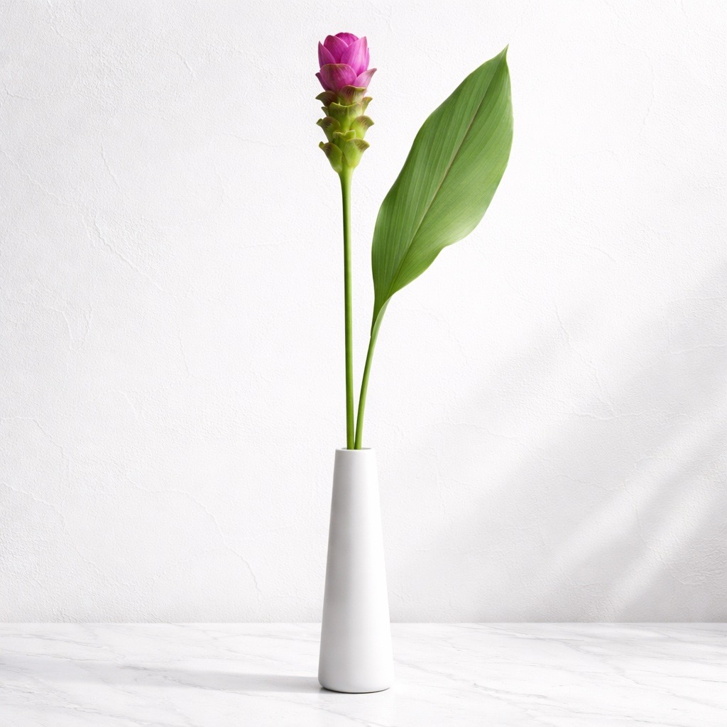 1 Stiel Curcuma Siam Shadow