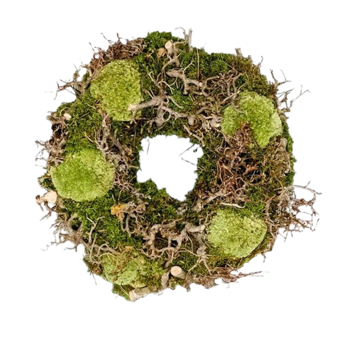 Dekokranz aus frischem Moos und Ästen – Durchmesser ca. 30 cm Dekokranz aus frischem Moos und Ästen – Durchmesser ca. 30 cm