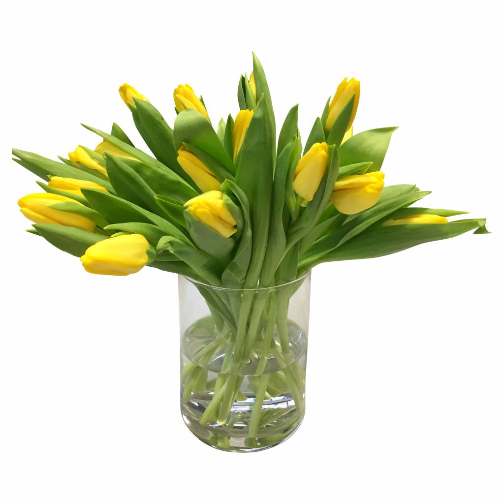 10 Tulpen Agrass Gold